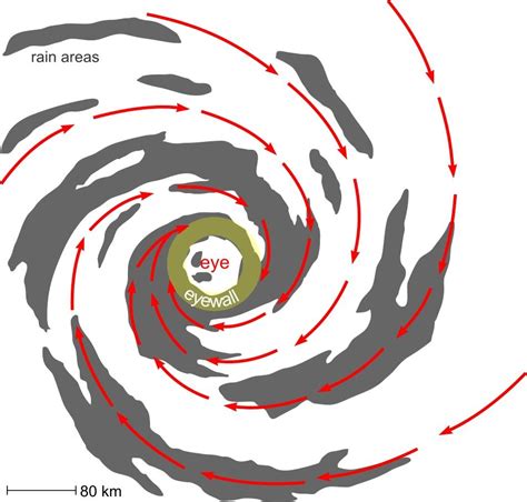 drawing of a cyclone|16.1: Tropical Cyclone Structure .